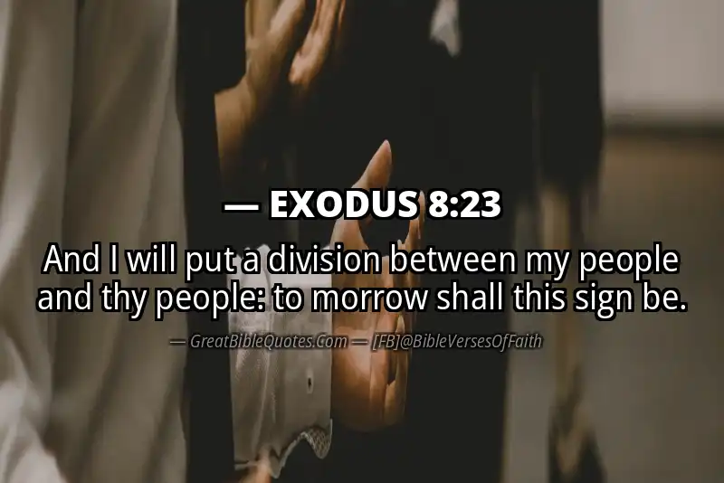 EXODUS 8:23 Verse
