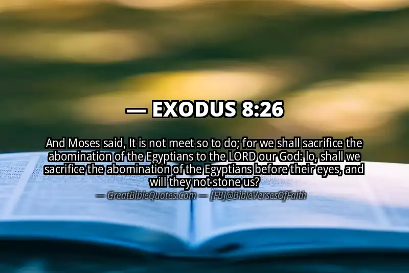 EXODUS 8:26 Verse