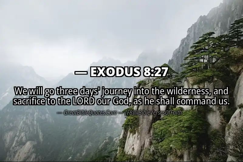 EXODUS 8:27 Verse
