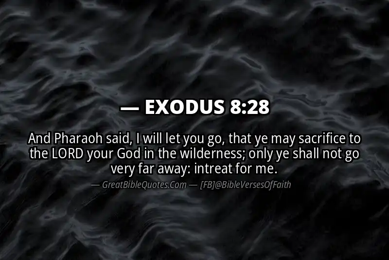 EXODUS 8:28 Verse