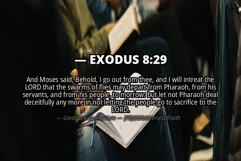 EXODUS 8:29 Verse