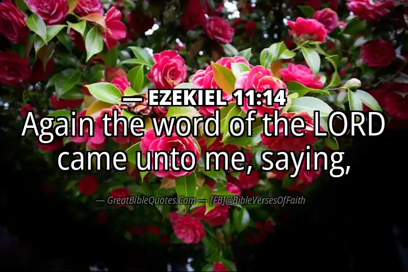 EZEKIEL 11:14 Verse