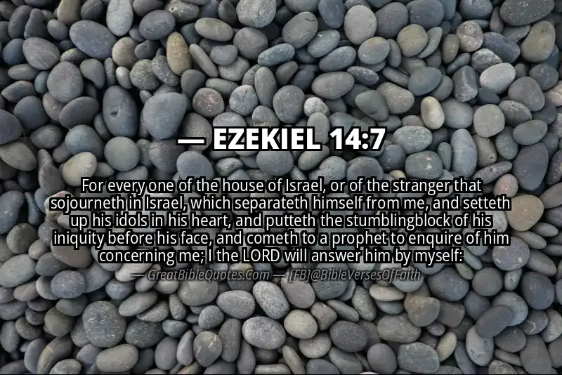 EZEKIEL 14:7 Verse