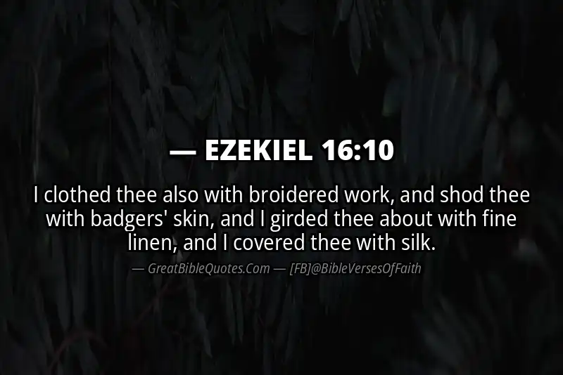 EZEKIEL 16:10 Verse Image