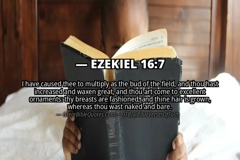 EZEKIEL 16:7 Verse