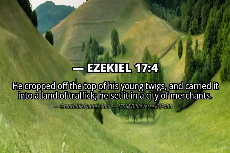 EZEKIEL 17:4 Verse