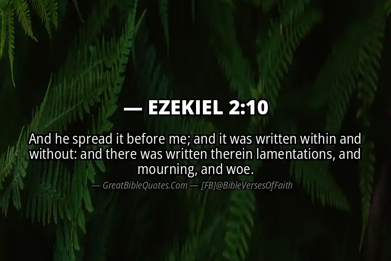 Bible verse: EZEKIEL 2:10 Image