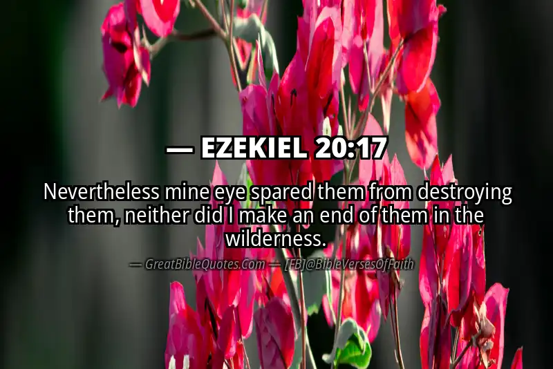 EZEKIEL 20:17 Verse