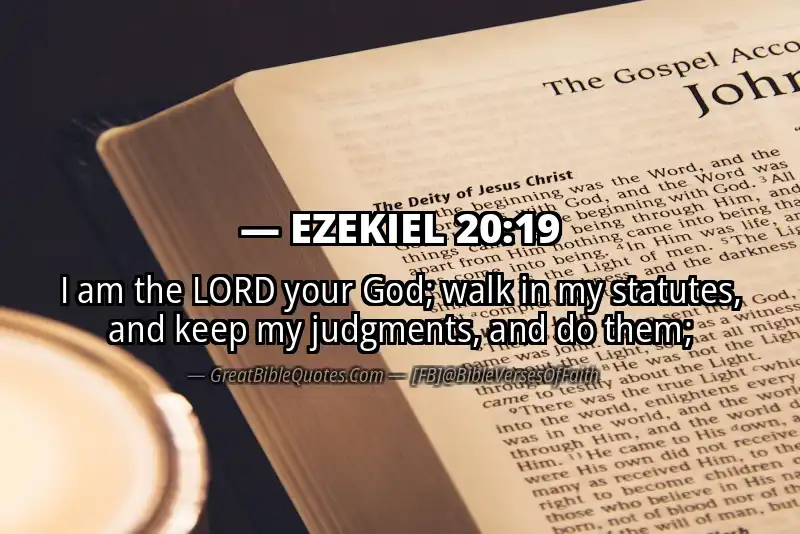 EZEKIEL 20:19 Verse
