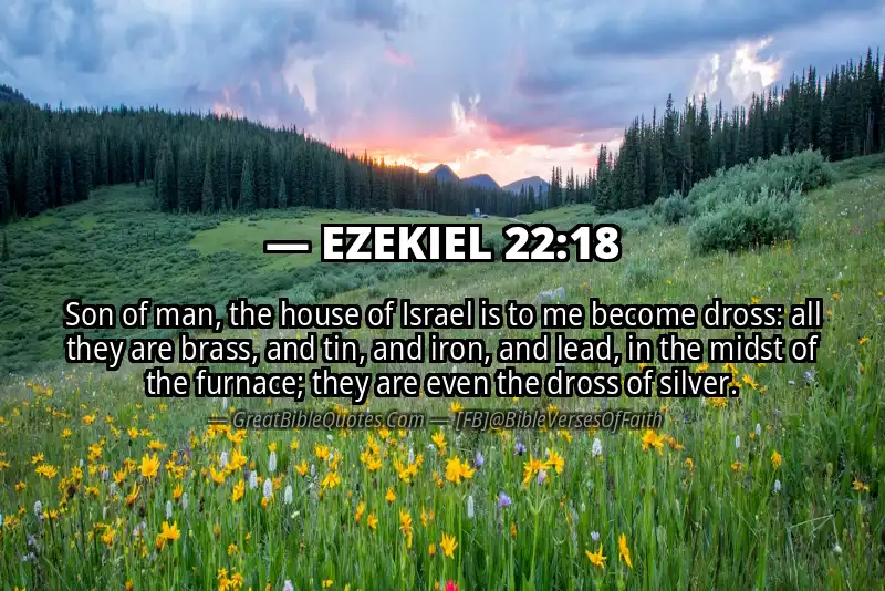 EZEKIEL 22:18 Verse