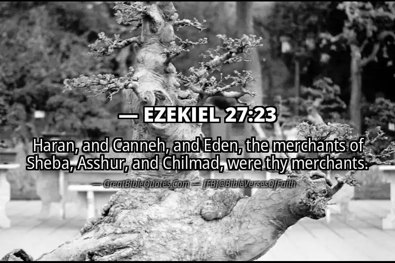 EZEKIEL 27:23 Verse