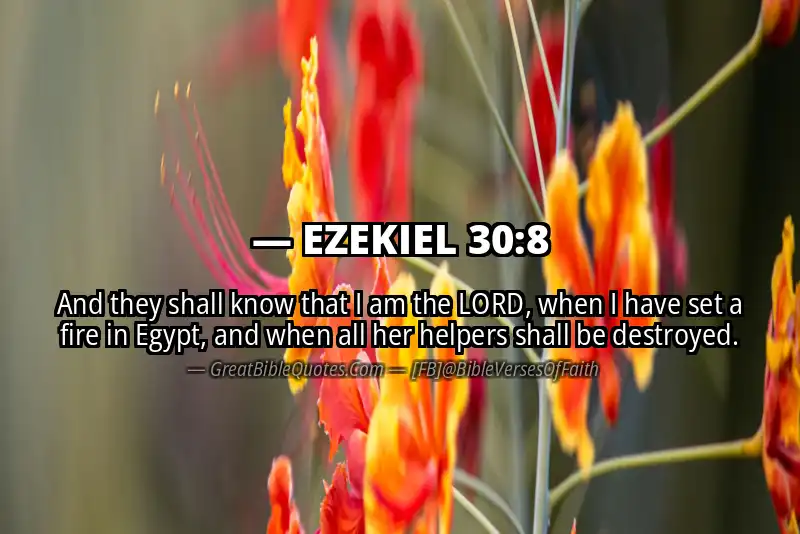 EZEKIEL 30:8 Verse Image