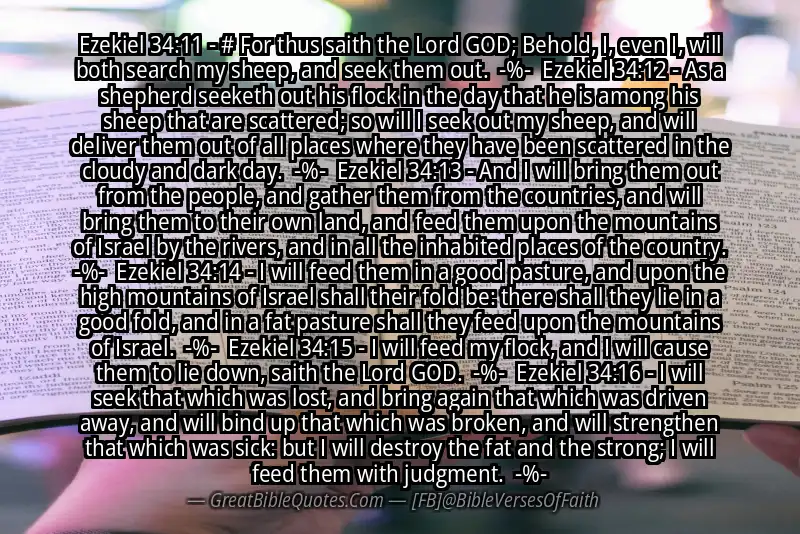 Image for EZEKIEL 34:11-16 Bible verse