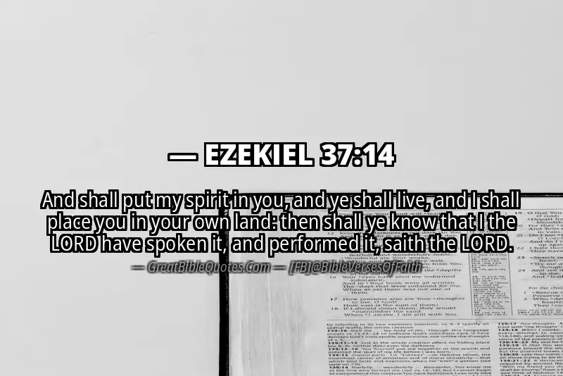 EZEKIEL 37:14 Verse Image