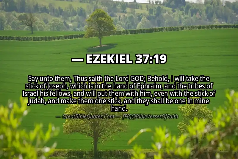 EZEKIEL 37:19 Verse