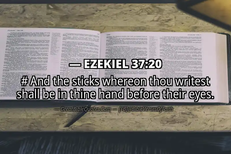 EZEKIEL 37:20 Verse