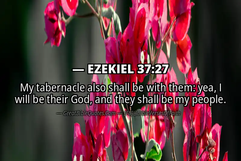 EZEKIEL 37:27 Verse Image