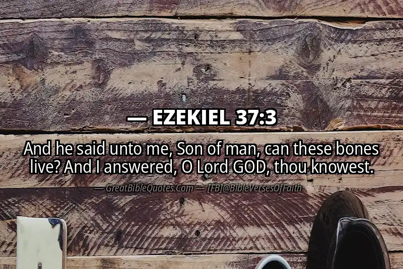 EZEKIEL 37:3 Verse