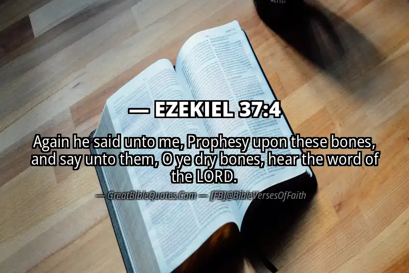 EZEKIEL 37:4 Verse