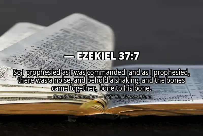 EZEKIEL 37:7 Verse