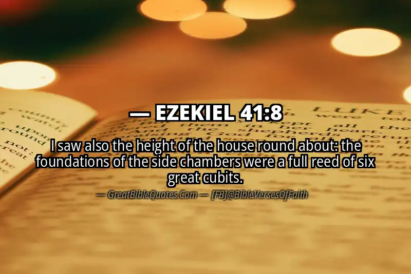 EZEKIEL 41:8 Verse