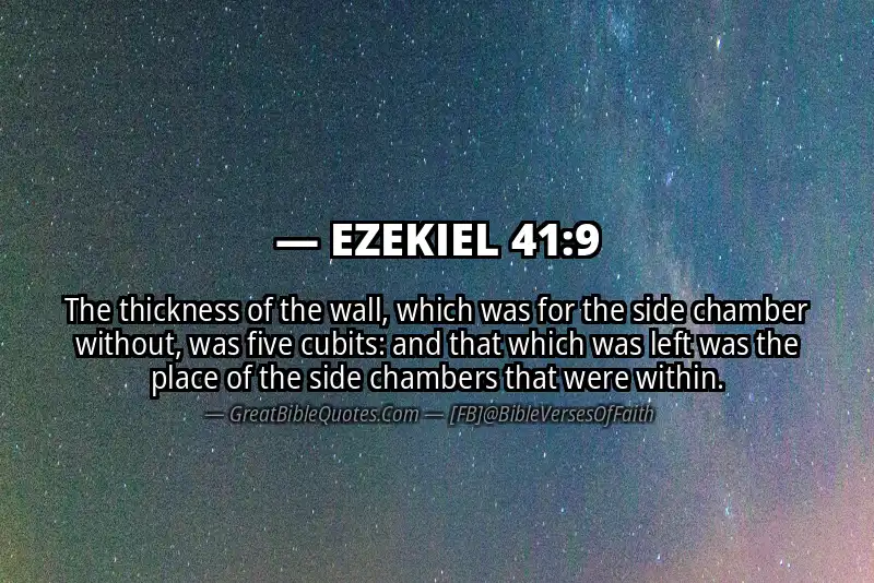 EZEKIEL 41:9 Verse