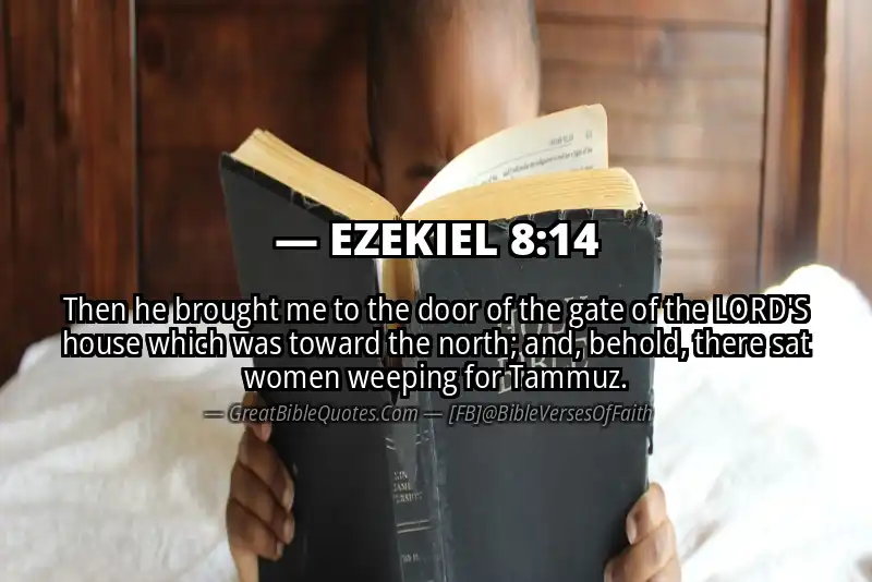 EZEKIEL 8:14 Verse