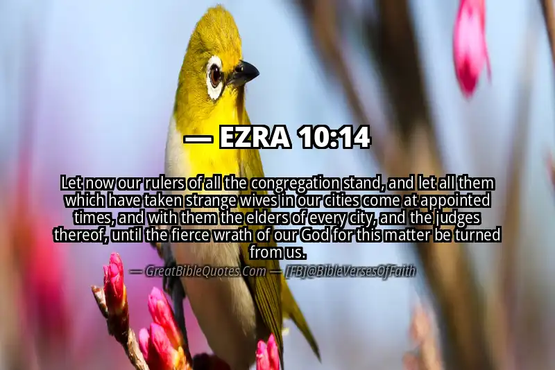 EZRA 10:14 Verse