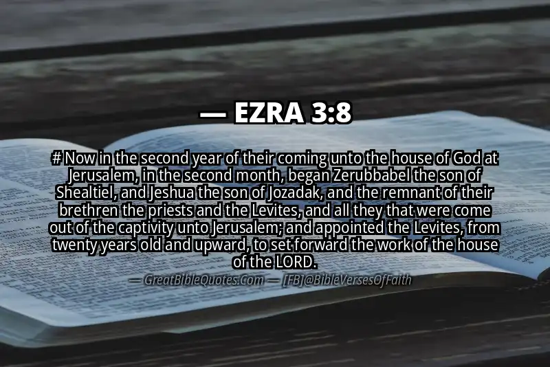 EZRA 3:8 Verse Image