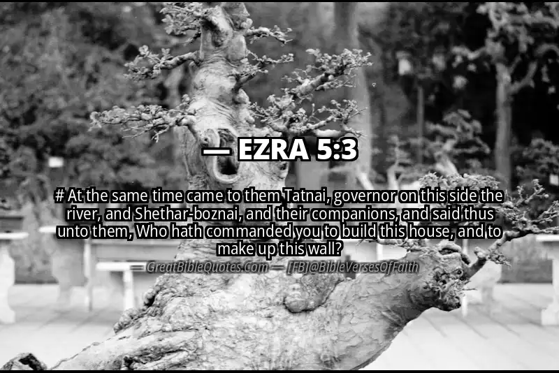 EZRA 5:3 Verse