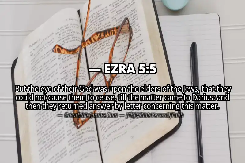EZRA 5:5 Verse