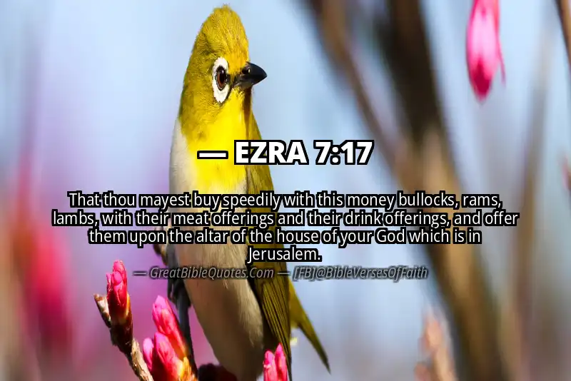 EZRA 7:17 Verse