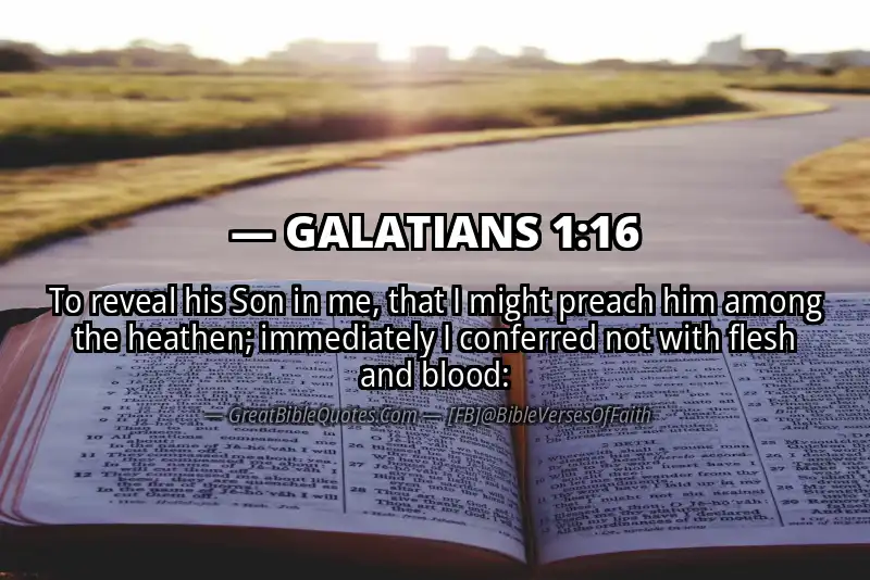 Bible verse: GALATIANS 1:16 Image
