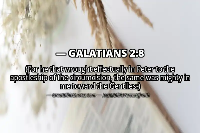 Bible verse: GALATIANS 2:8 Image