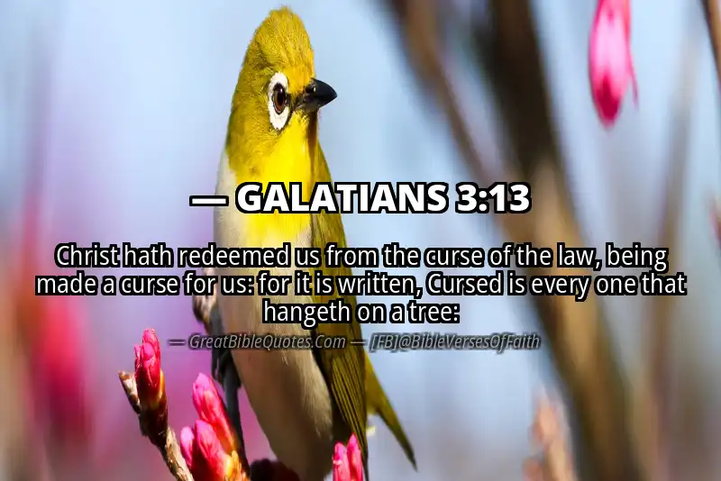 Bible verse: GALATIANS 3:13 Image