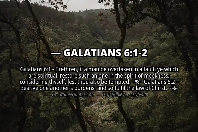 Image for GALATIANS 6:1-2 Bible verse