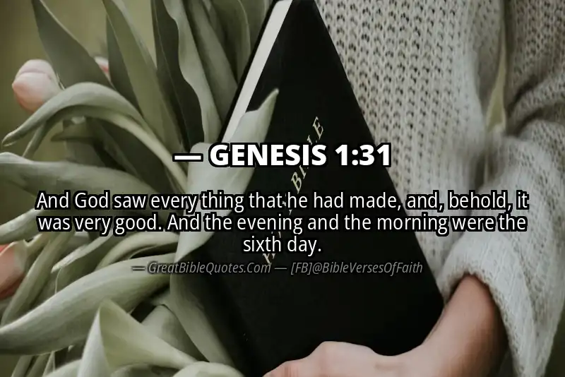 Bible verse: GENESIS 1:31 Image