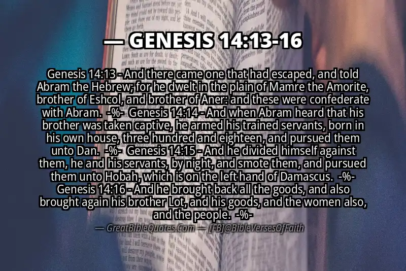 Image for GENESIS 14:13-16 Bible verse