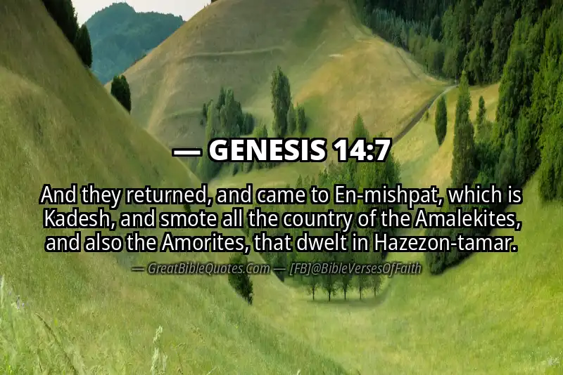 GENESIS 14:7 Verse