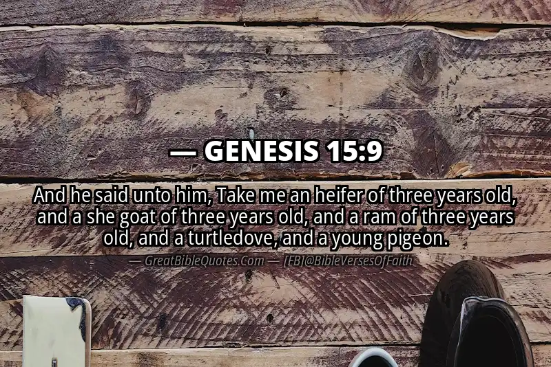 GENESIS 15:9 Verse