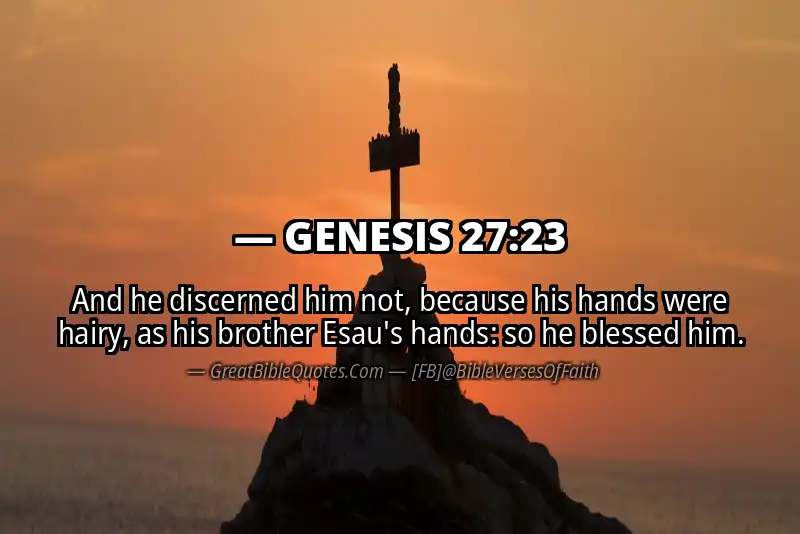GENESIS 27:23 Verse