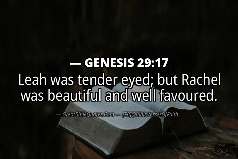 GENESIS 29:17 Verse