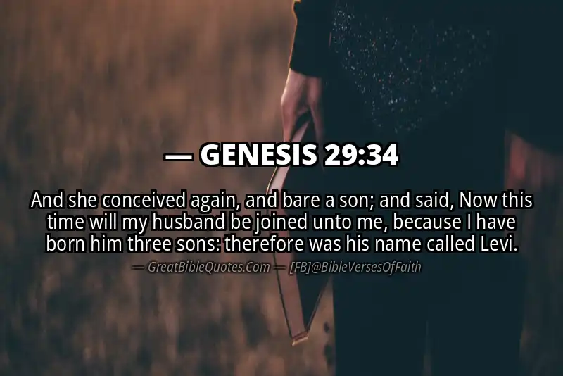 GENESIS 29:34 Verse