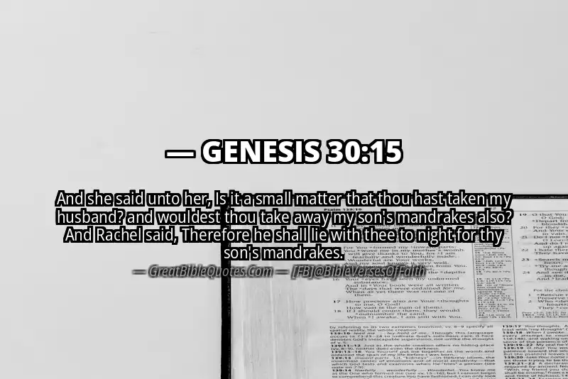 GENESIS 30:15 Verse