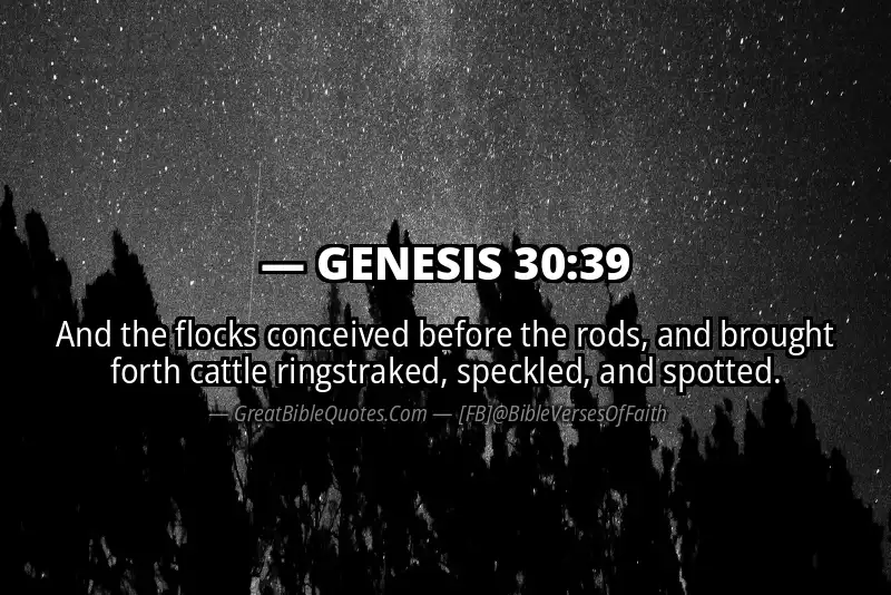GENESIS 30:39 Verse