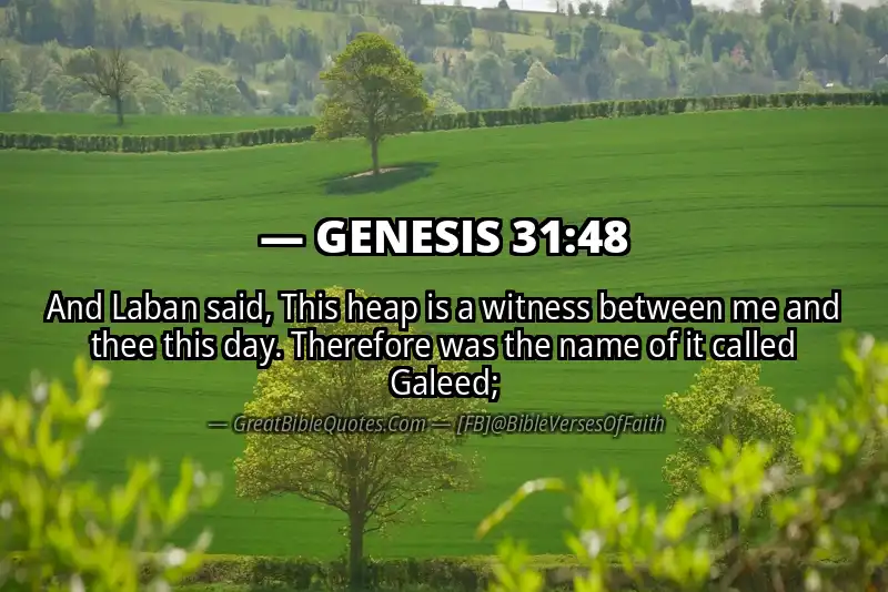 GENESIS 31:48 Verse