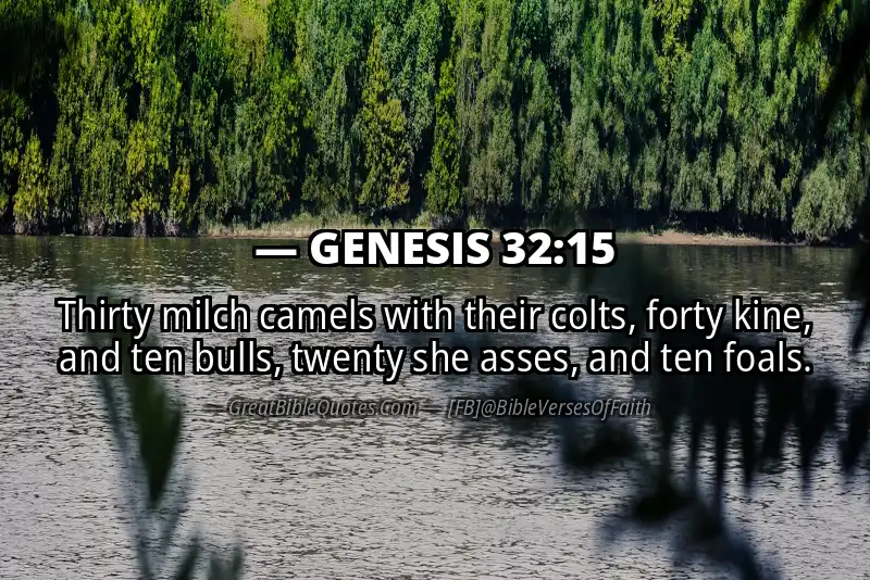 GENESIS 32:15 Verse