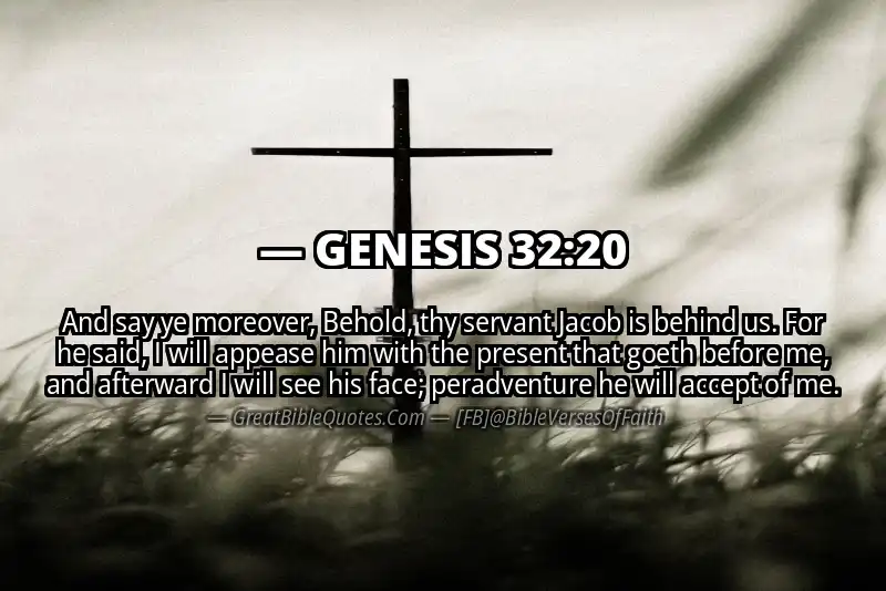 GENESIS 32:20 Verse