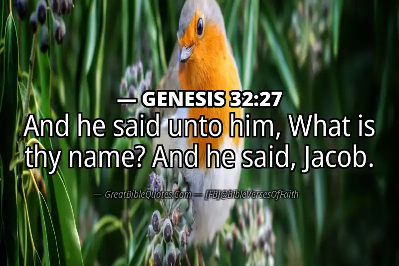 GENESIS 32:27 Verse