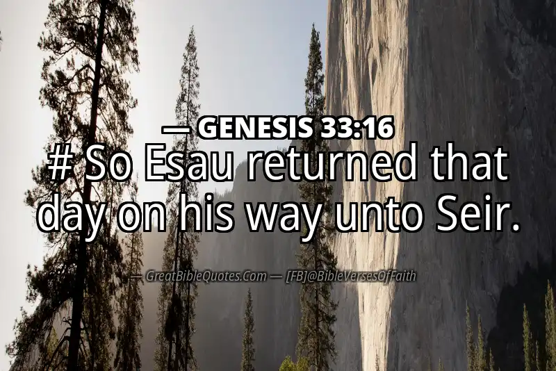 GENESIS 33:16 Verse